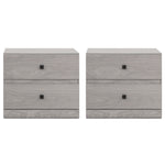 Set de 2 Buros Louis - Gris