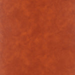 Sillon Withby - Cafe