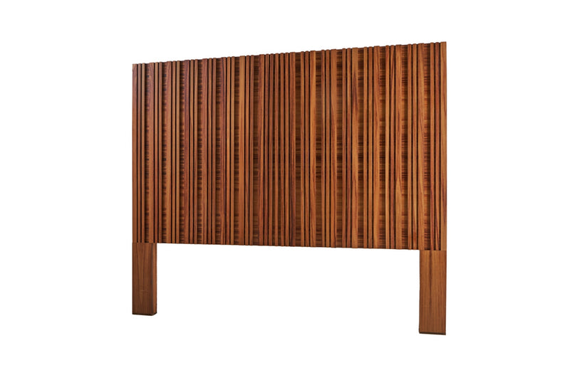 Cabecera KS Amelia - Parota