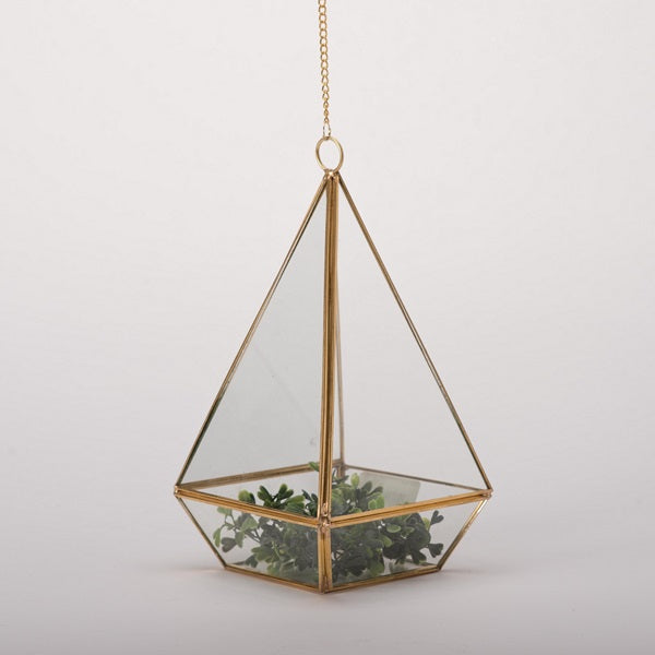 Terrarium  - Dorado