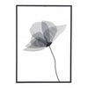 Accesorio Decorativo Springbrook - Negro