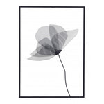 Accesorio Decorativo Springbrook - Negro