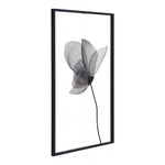 Accesorio Decorativo Springbrook - Negro