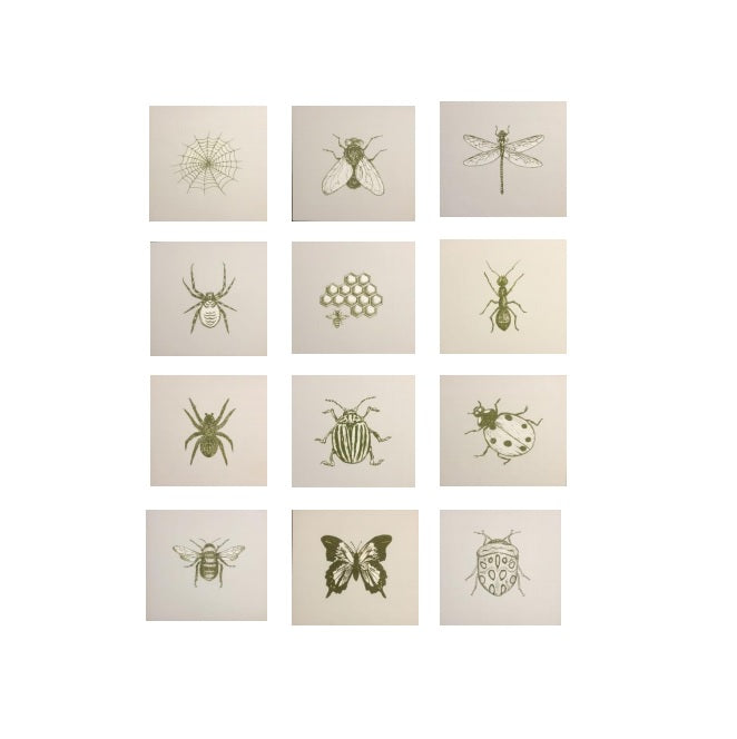 Cuadro Decorativo Sets Insectos